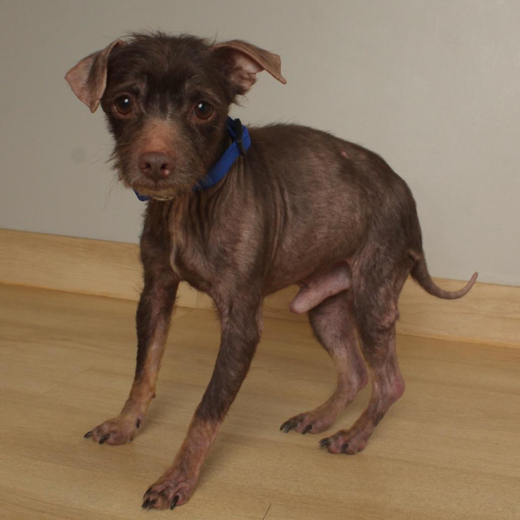 Raisen D thumbnail 3