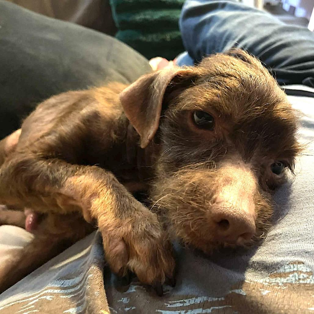 Raisen D thumbnail 4