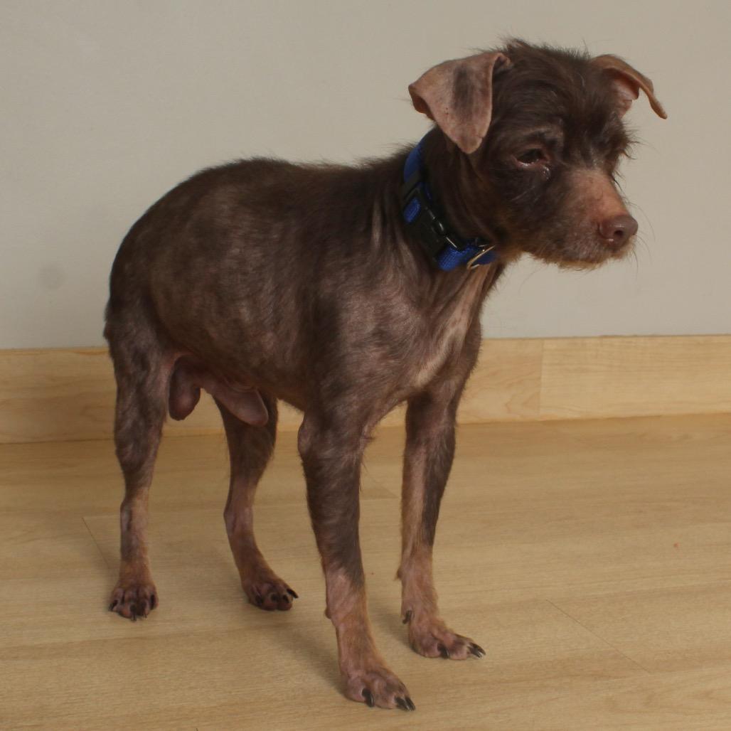 Raisen D thumbnail 6