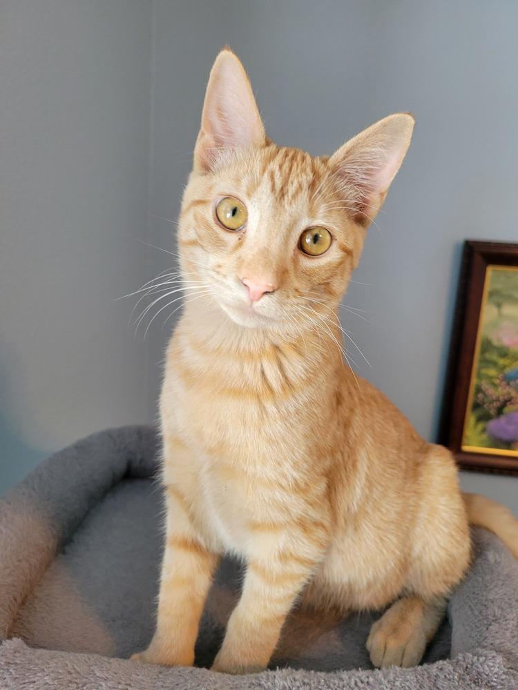 Martin — thumbnail 2