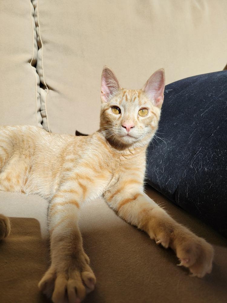 Martin — thumbnail 3