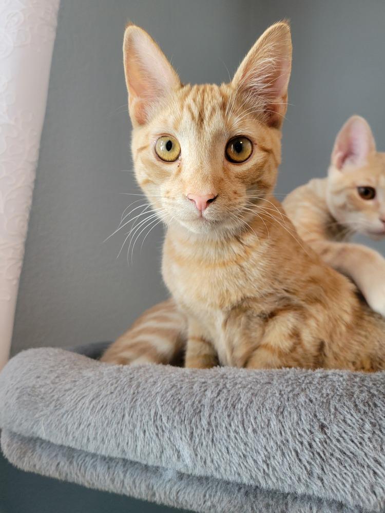 Martin — thumbnail 4