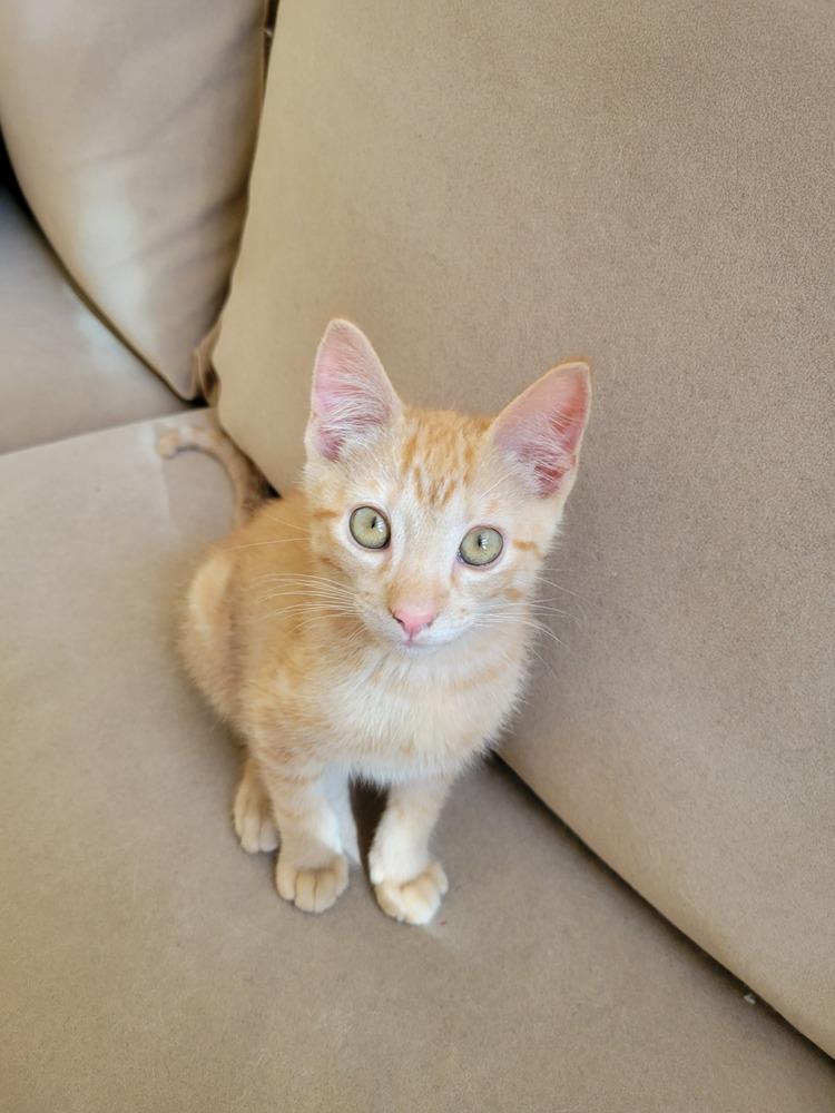 Martin — thumbnail 5