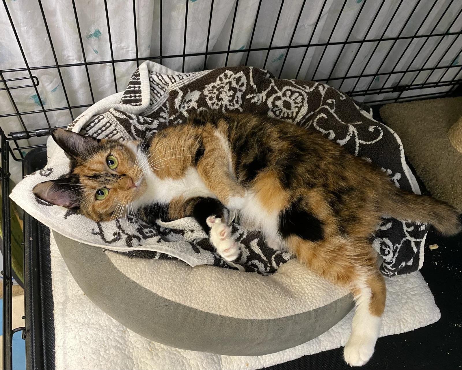 Mimi (very friendly)