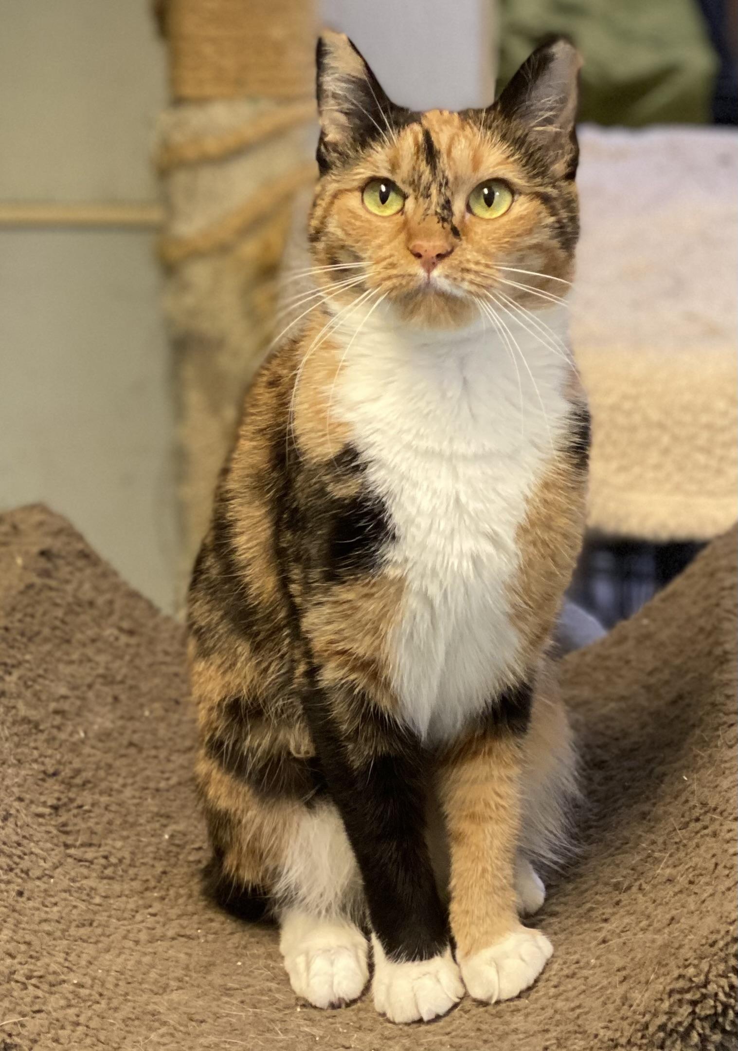 Mimi (very friendly)