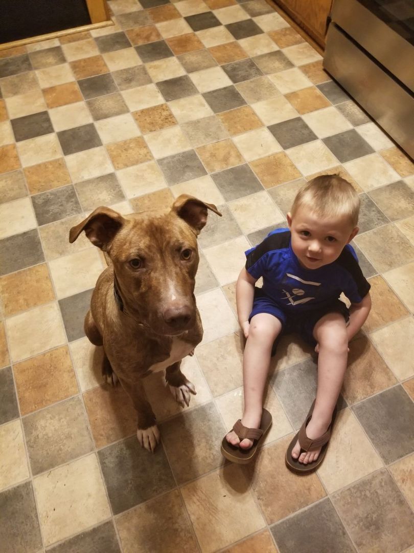 Lalo - FOSTER NEEDED!!! photo 3