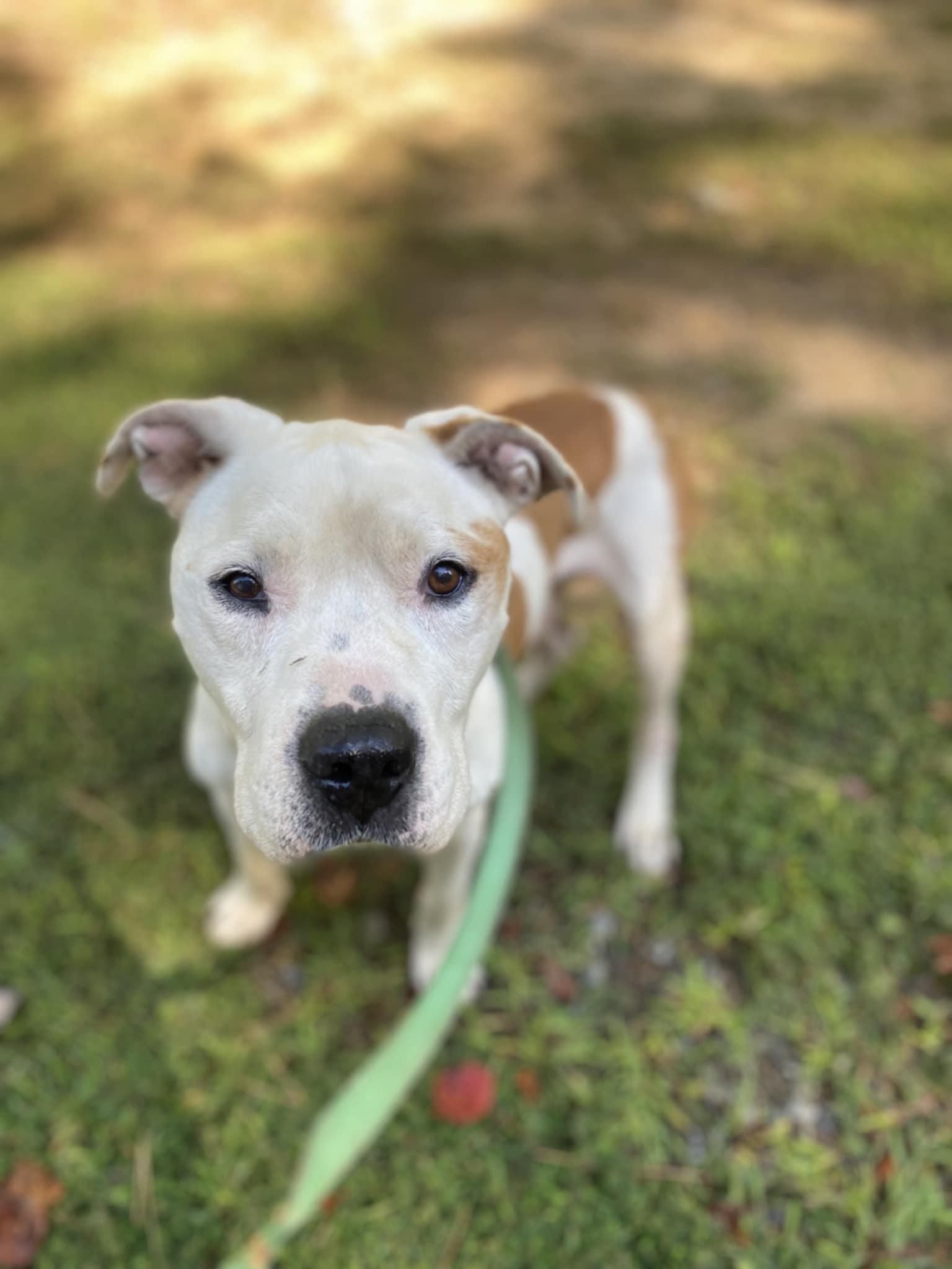 Coco