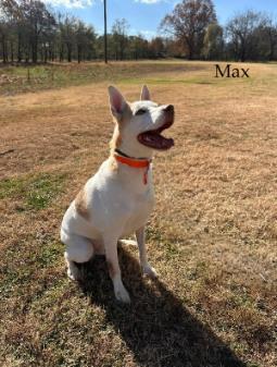 Max