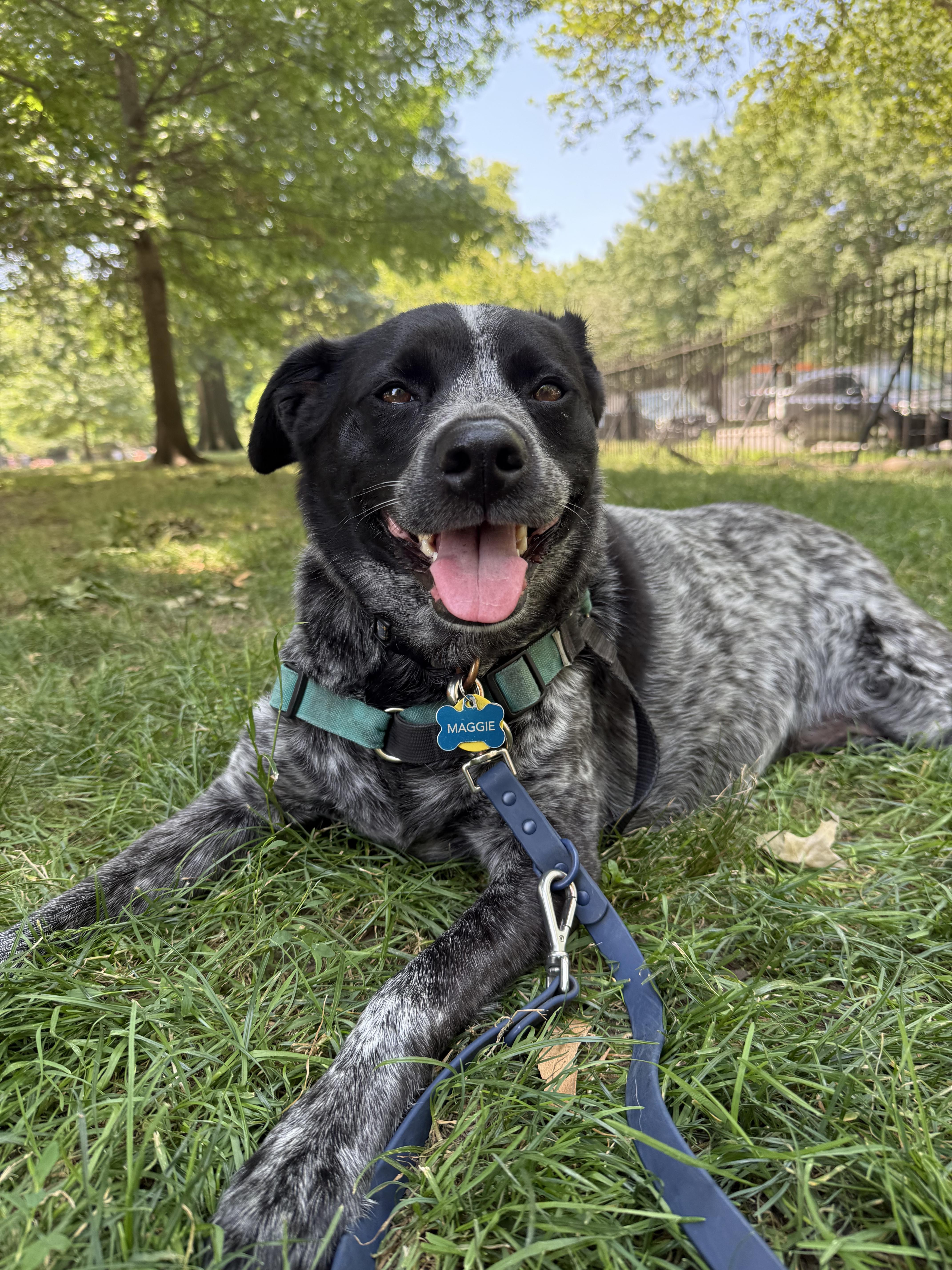 Maggie