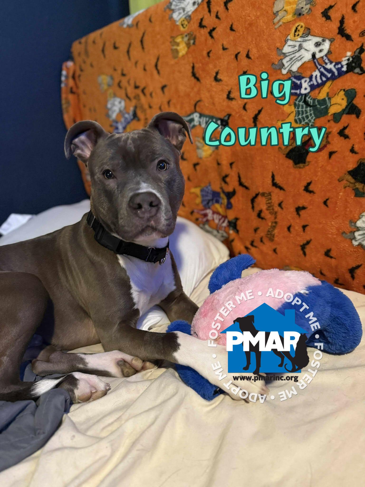 Big Country
