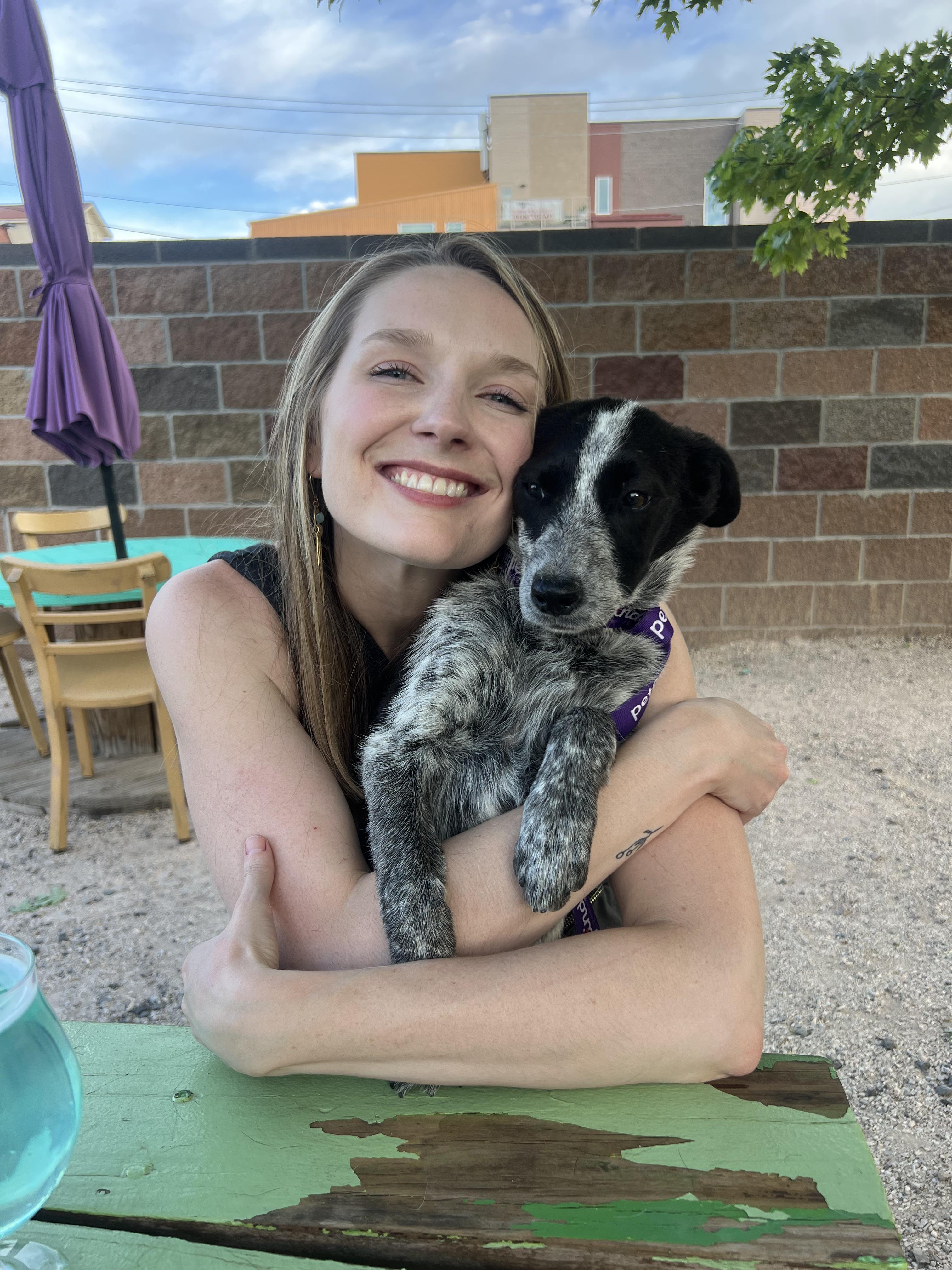 Josie, a ADOPTABLE mixed breed in Fort Collins, CO image 1/4