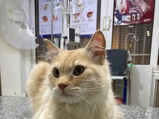 Max – so sweet and cuddly