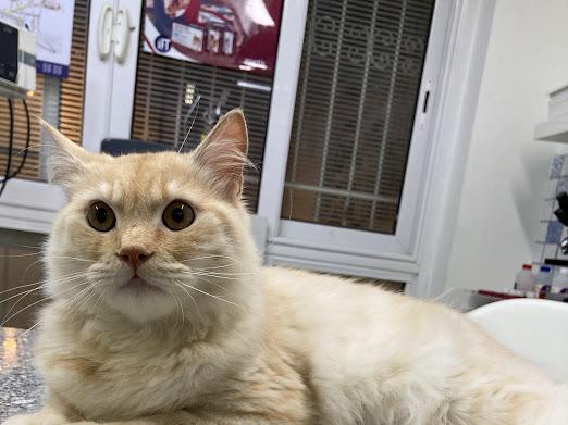 Max – so sweet and cuddly