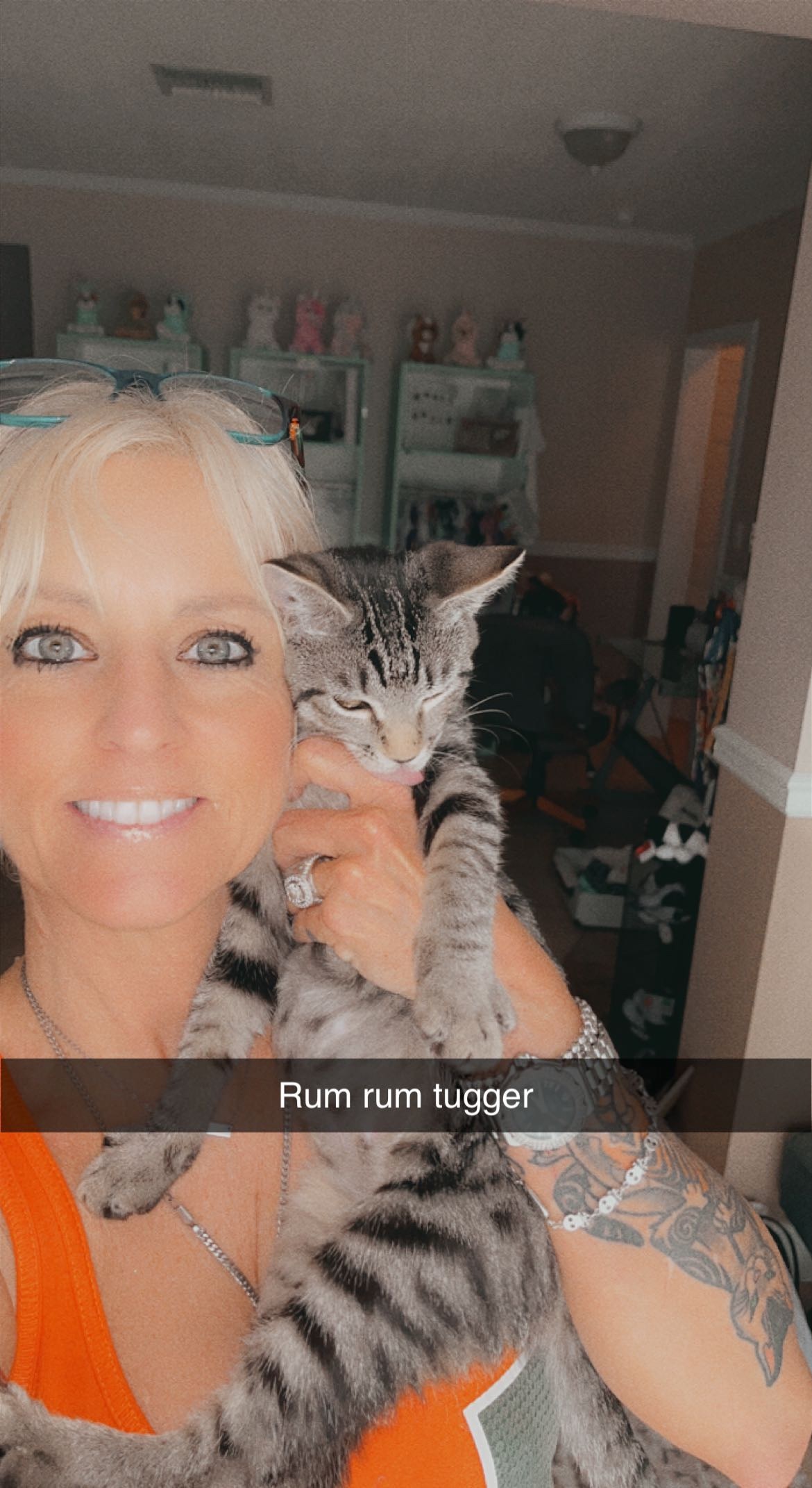 Rum tum Tugger , a Adoptable Domestic Short Hair in Palm City, FL image 5/12