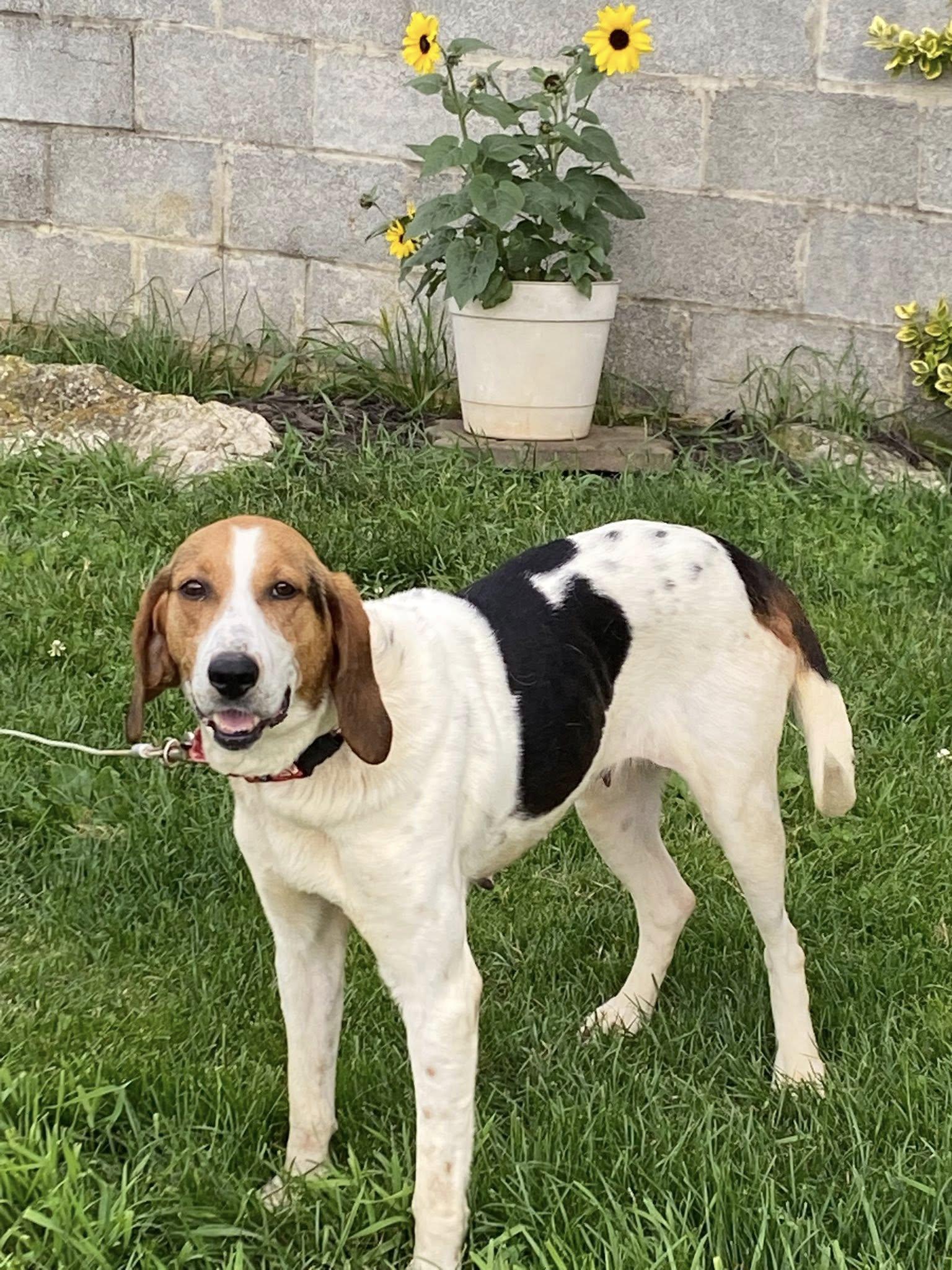 Winnie, Adult Female unknown