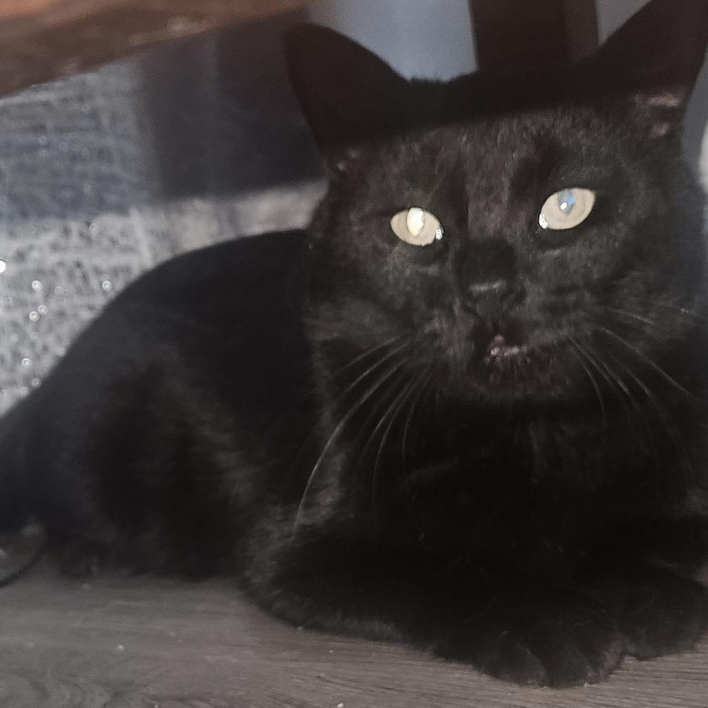 Lucky — thumbnail 4