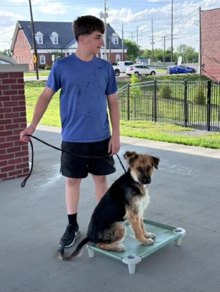 River, a ADOPTABLE mixed breed in Winchester, KY image 3/5