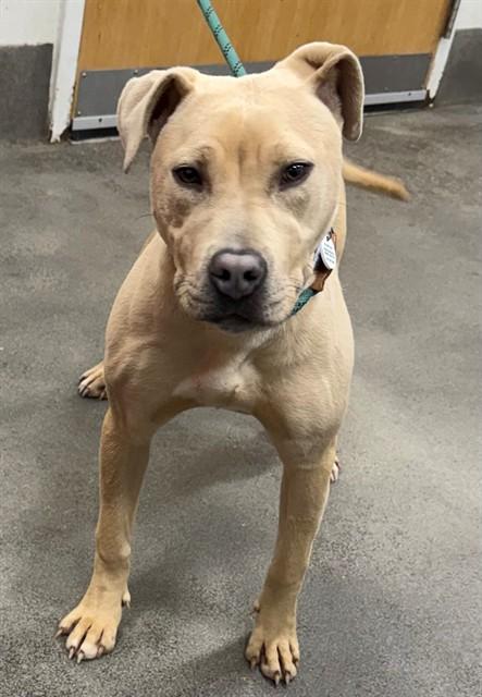 ERIN — thumbnail 2