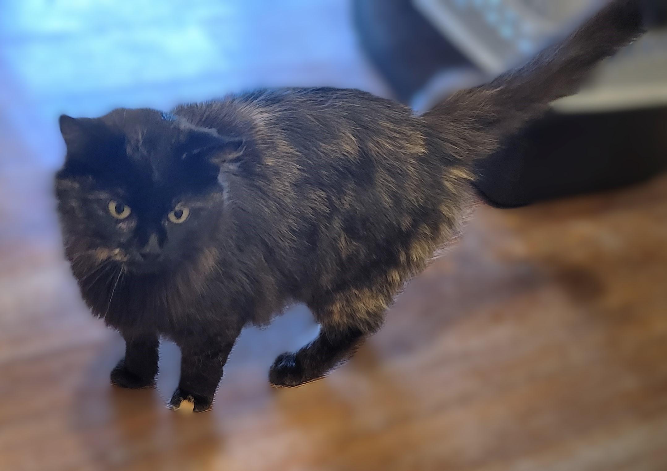 Honey Bee And Sprout thumbnail 2