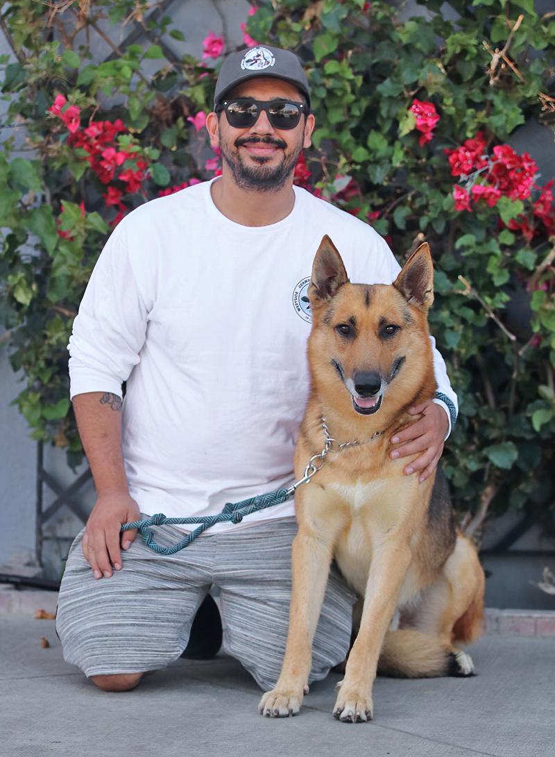 Enlarge *Baron von Aachen, a Adoptable German Shepherd Dog in Los Angeles, CA image 2/6