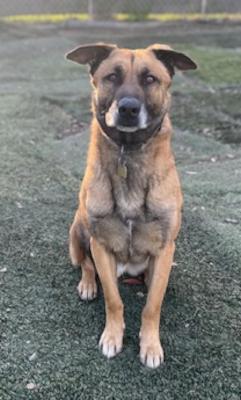 Otis — thumbnail 3