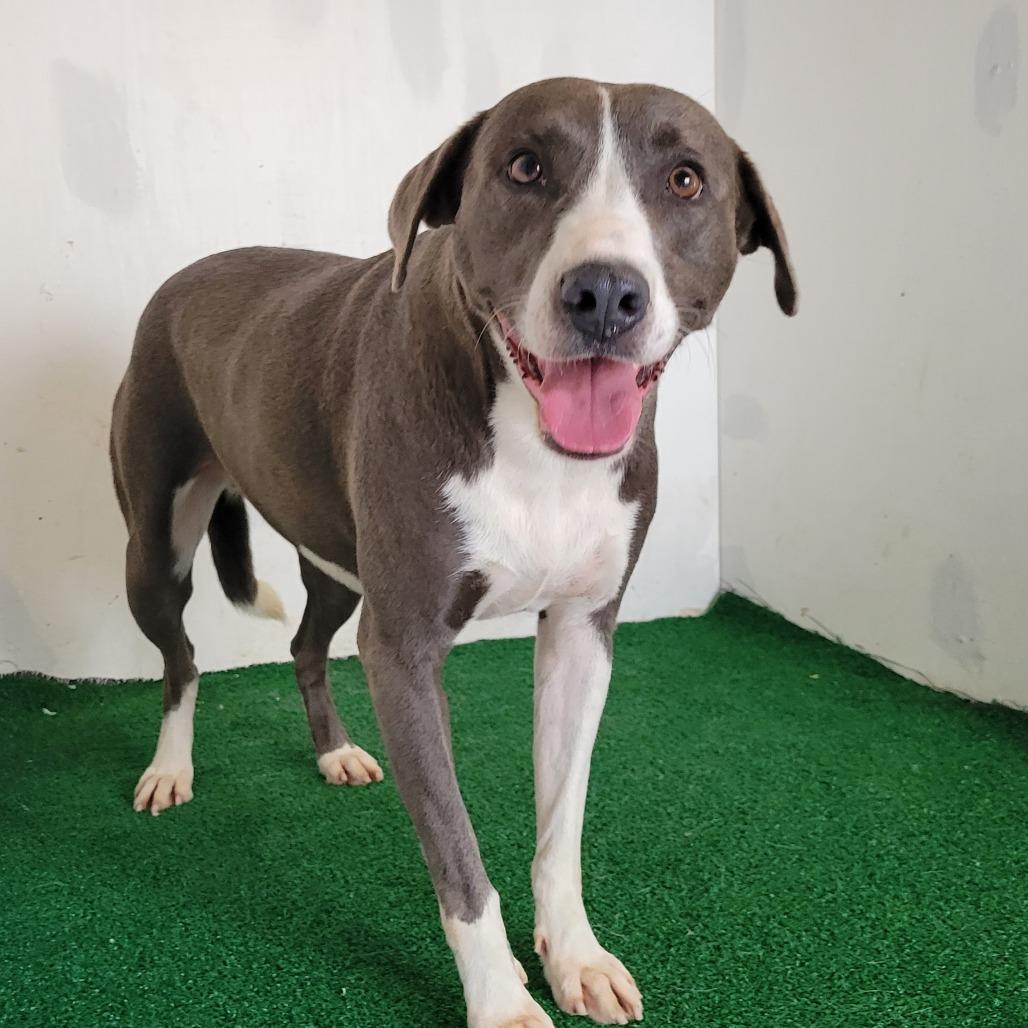 Precious — thumbnail 2