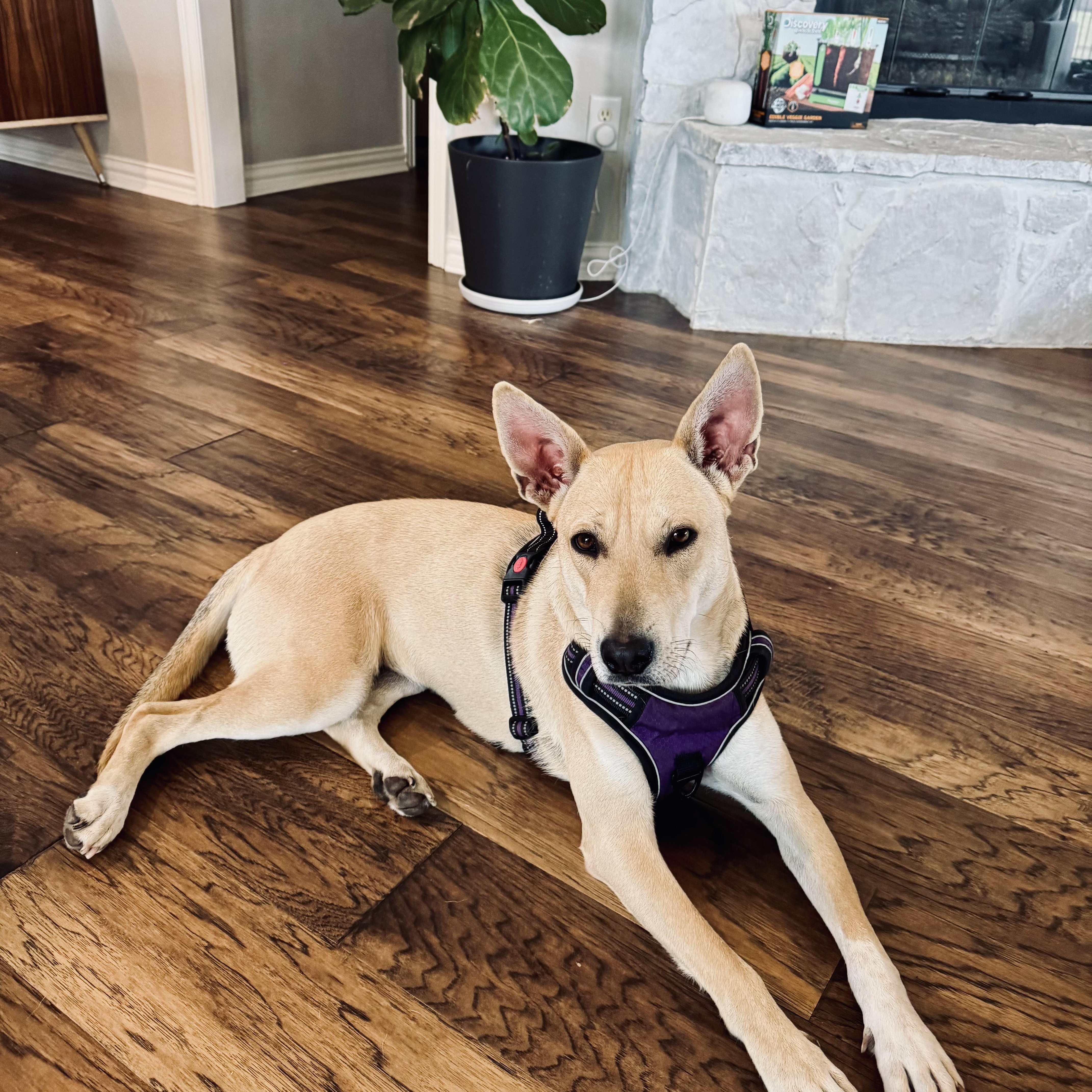 Natalie — thumbnail 5