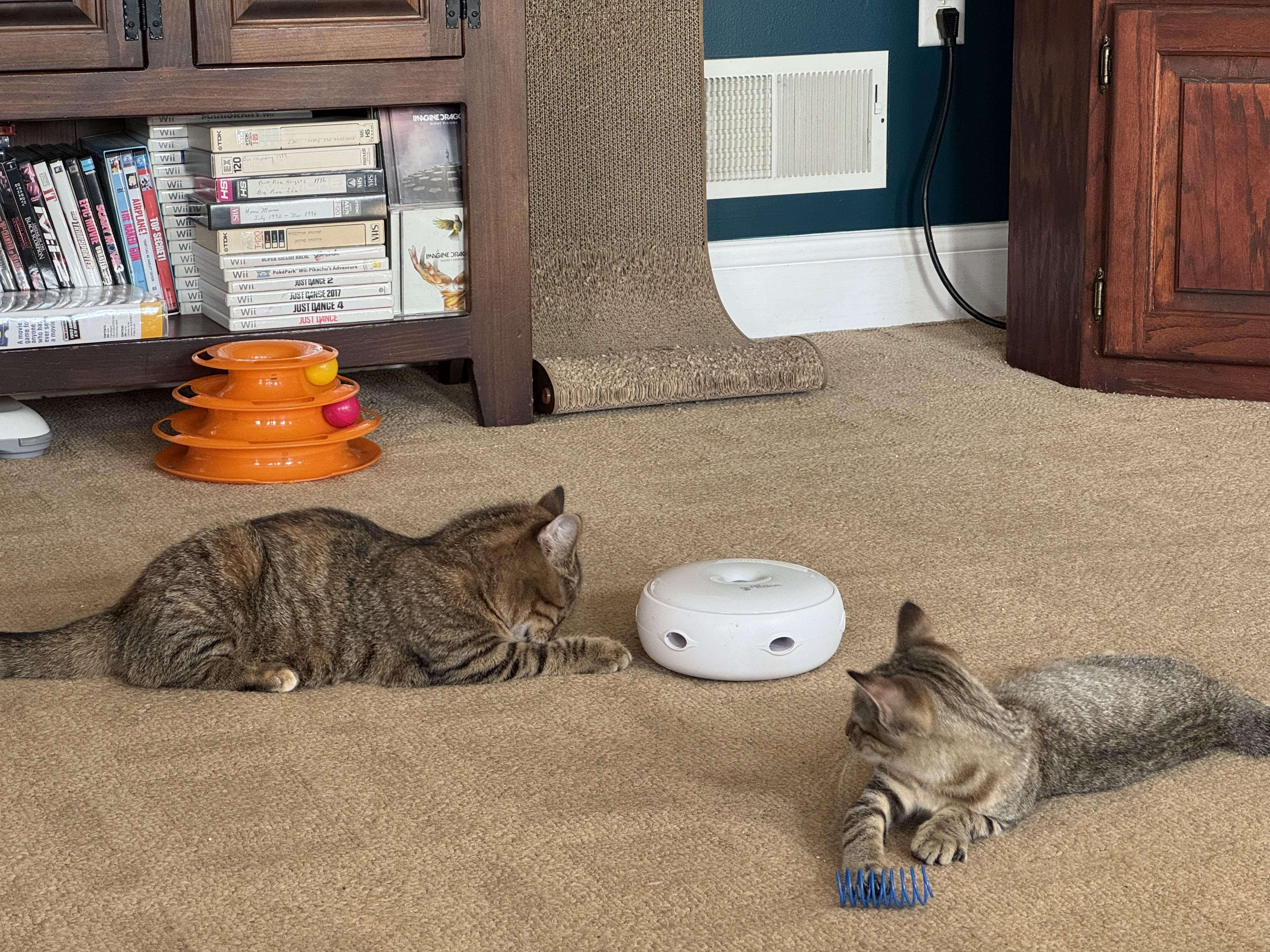 Rebel — thumbnail 2