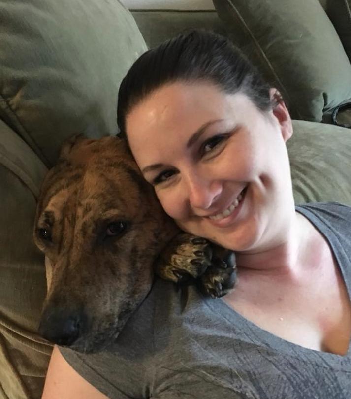 Reese, a Adopted mixed breed in Bothell, WA image 3/3