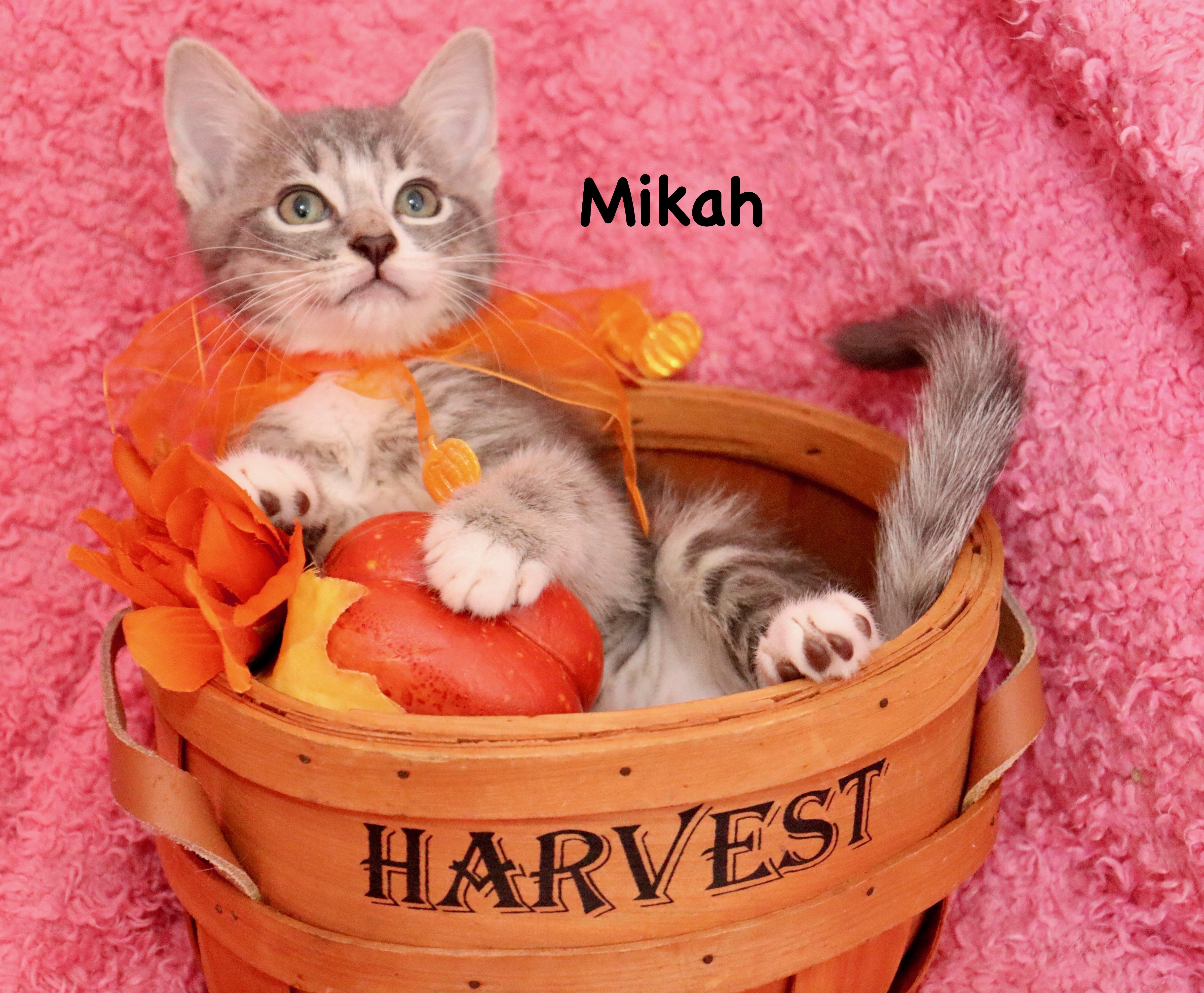 Mikah