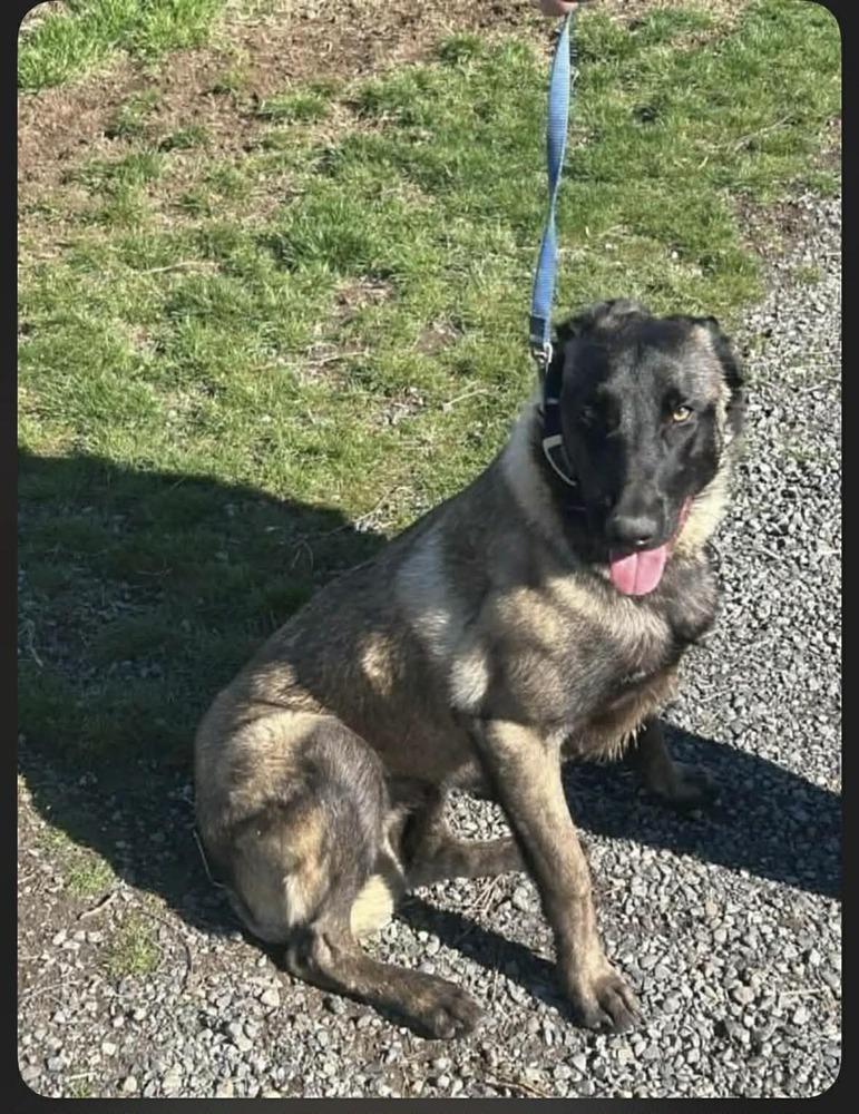 Asteroid (formerly Emma) - Located in OR