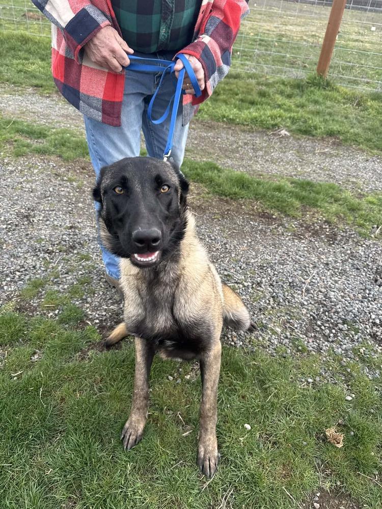 Asteroid (formerly Emma) - Located in OR — thumbnail 4