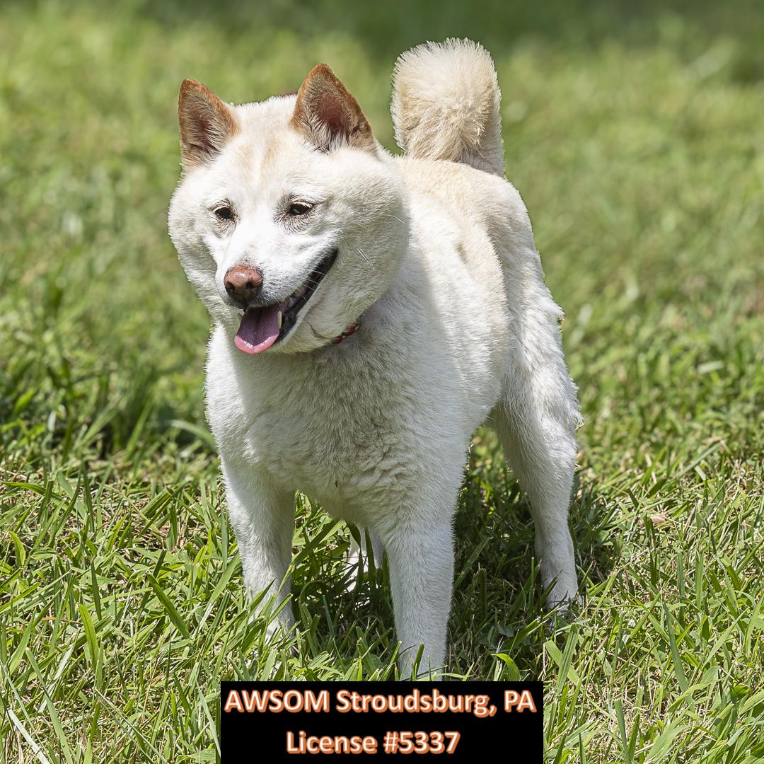 Cloud, Senior Female unknown