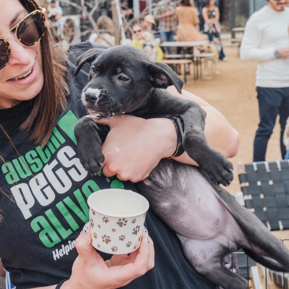 Darling Daffodil — thumbnail 2