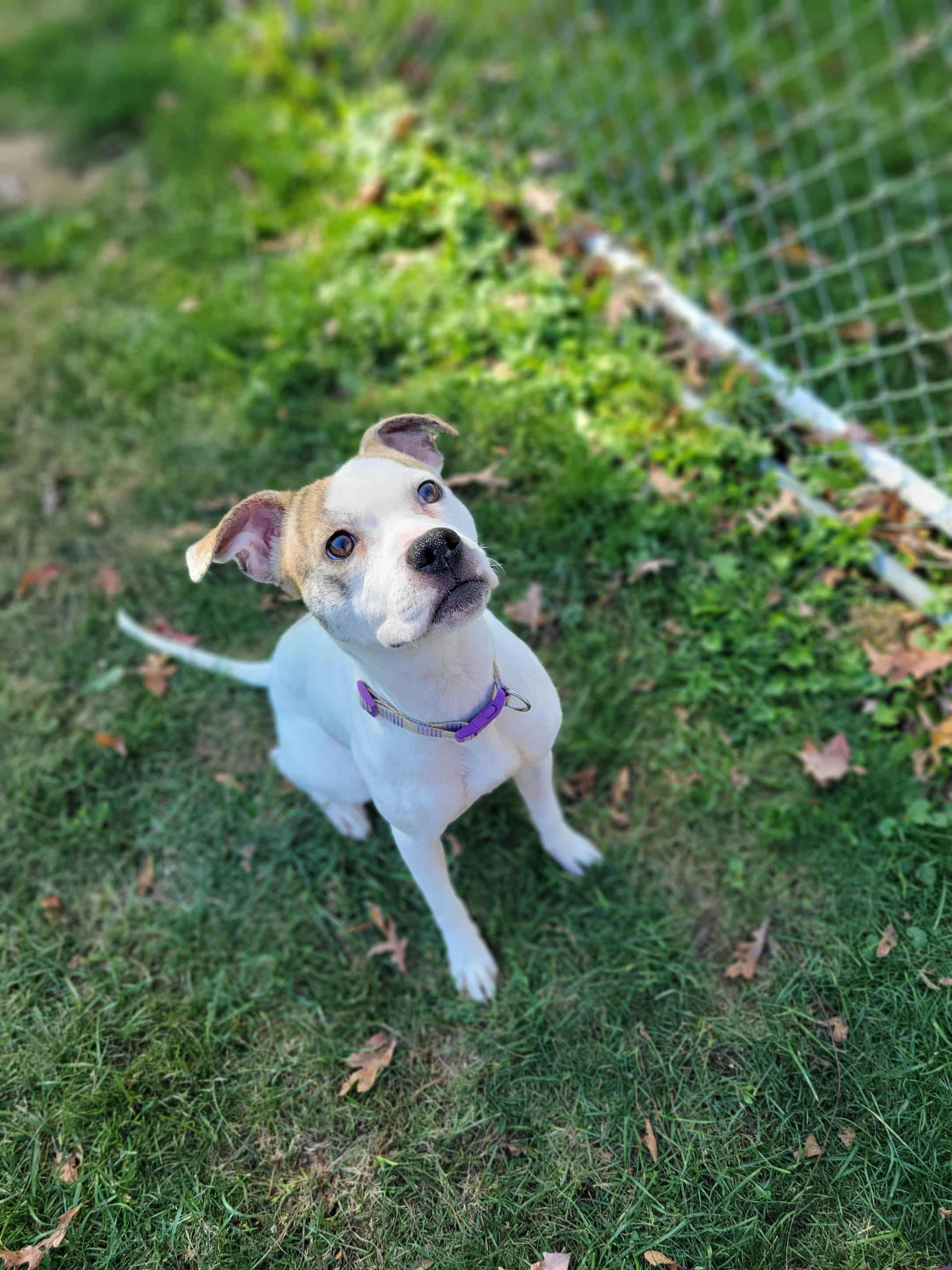 Charlotte thumbnail 2