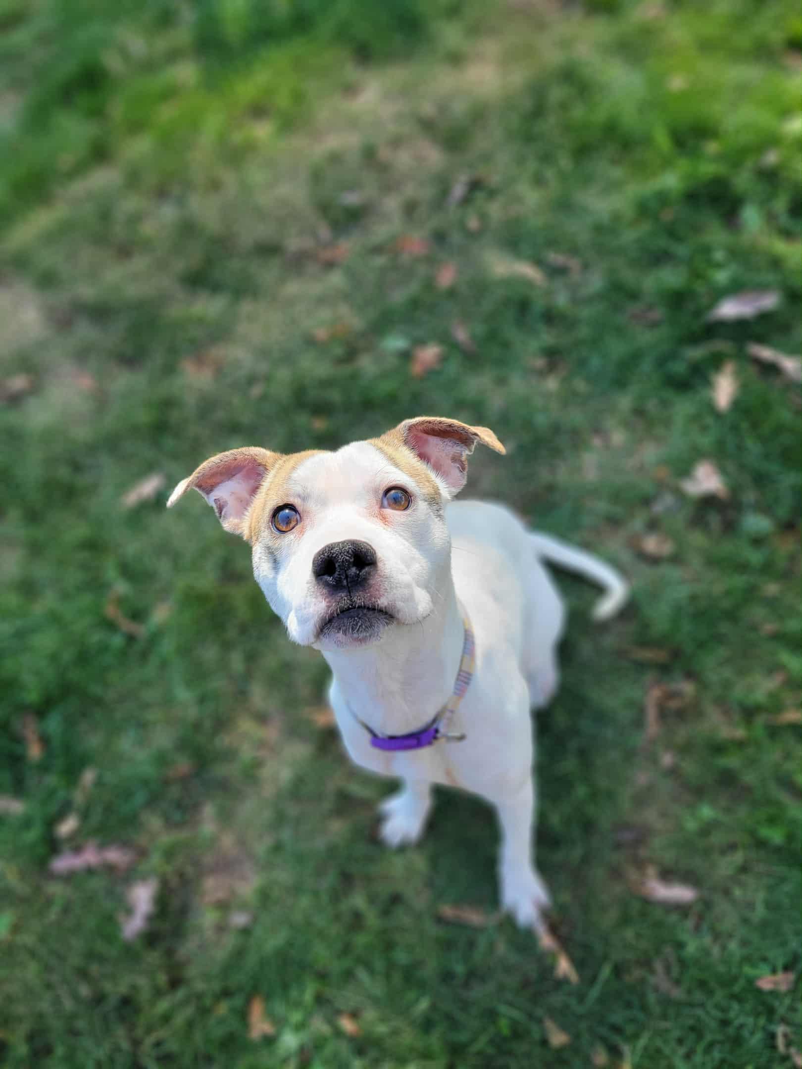 Charlotte thumbnail 3