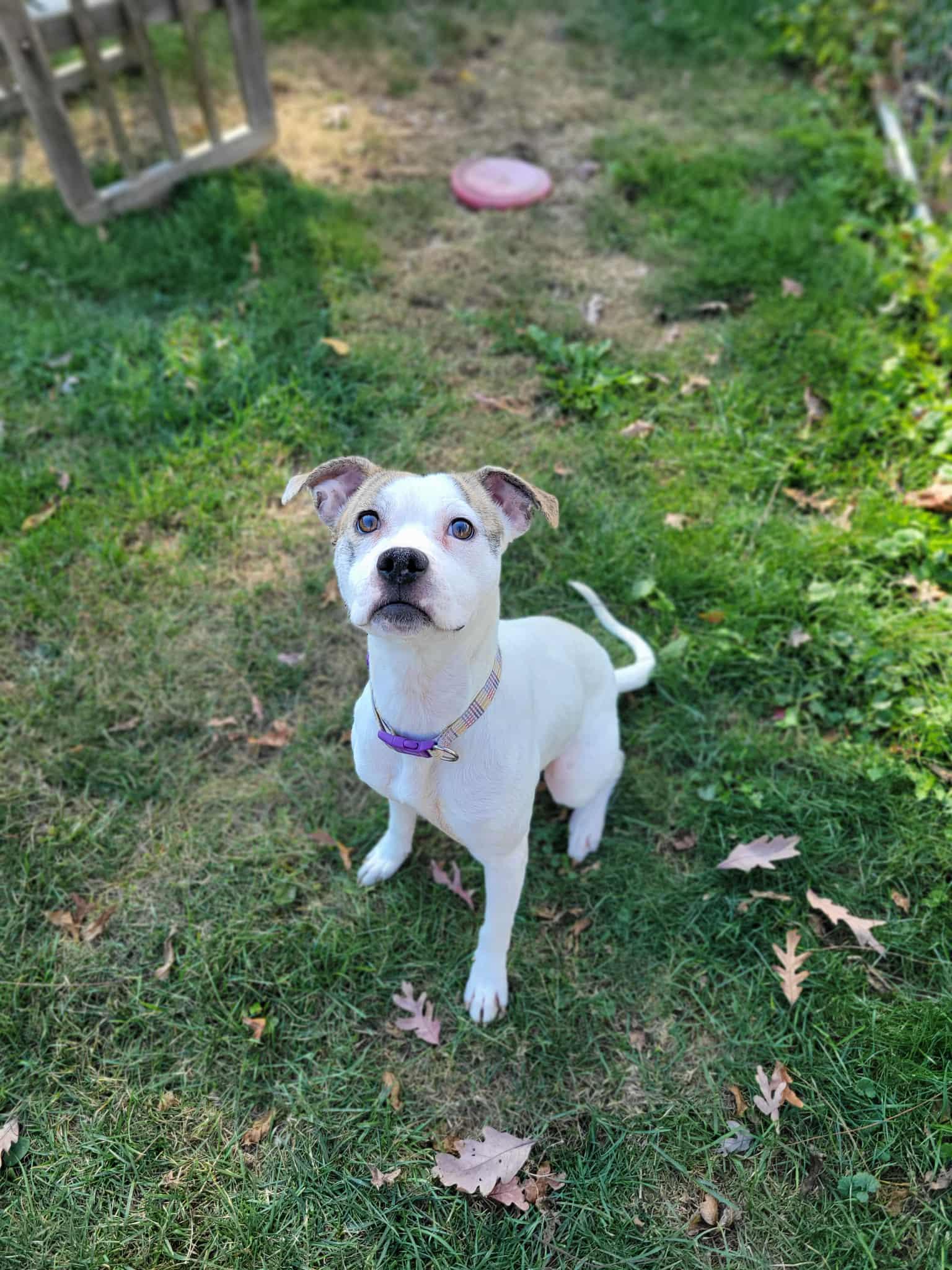 Charlotte thumbnail 4