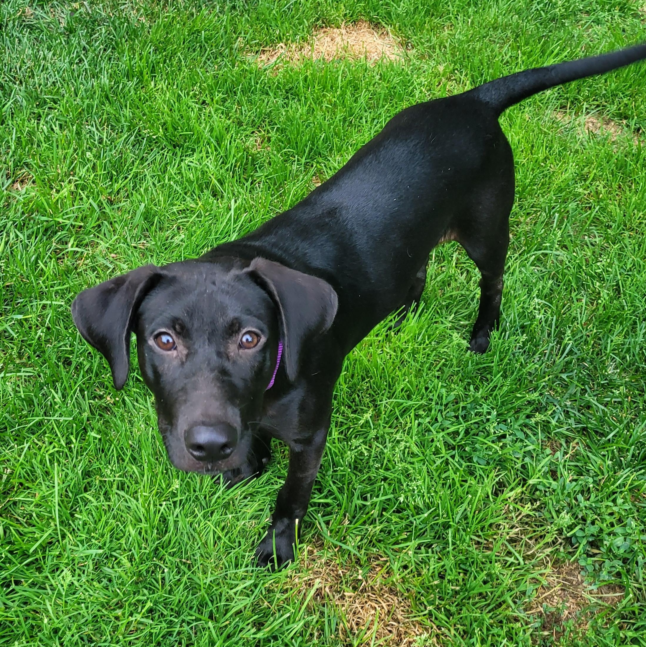 Clarice is in Maine, Young Female unknown
