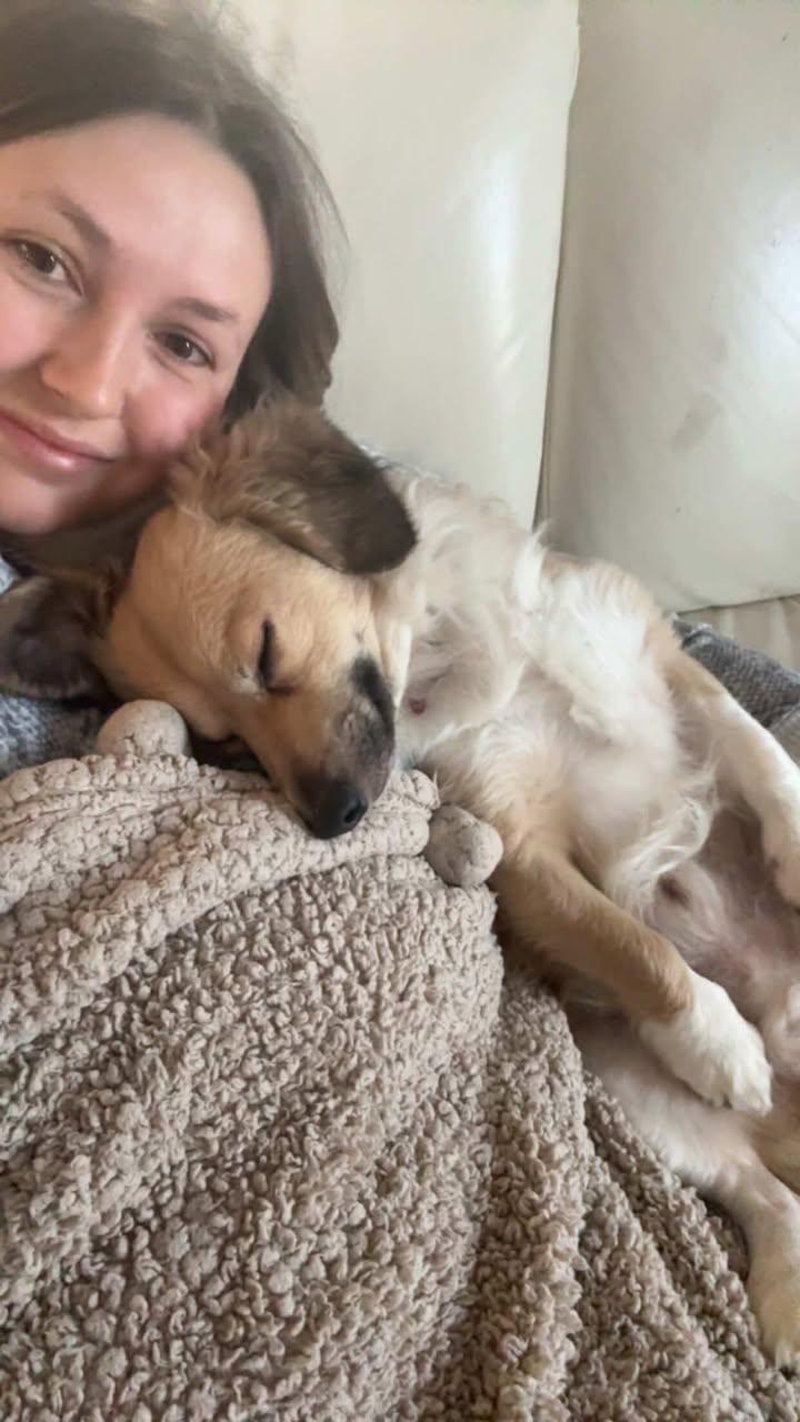 Enlarge Zazu - IN FOSTER - AVAILABLE TO ADOPT, an adopted mixed breed in Clayton, NC image 2/6