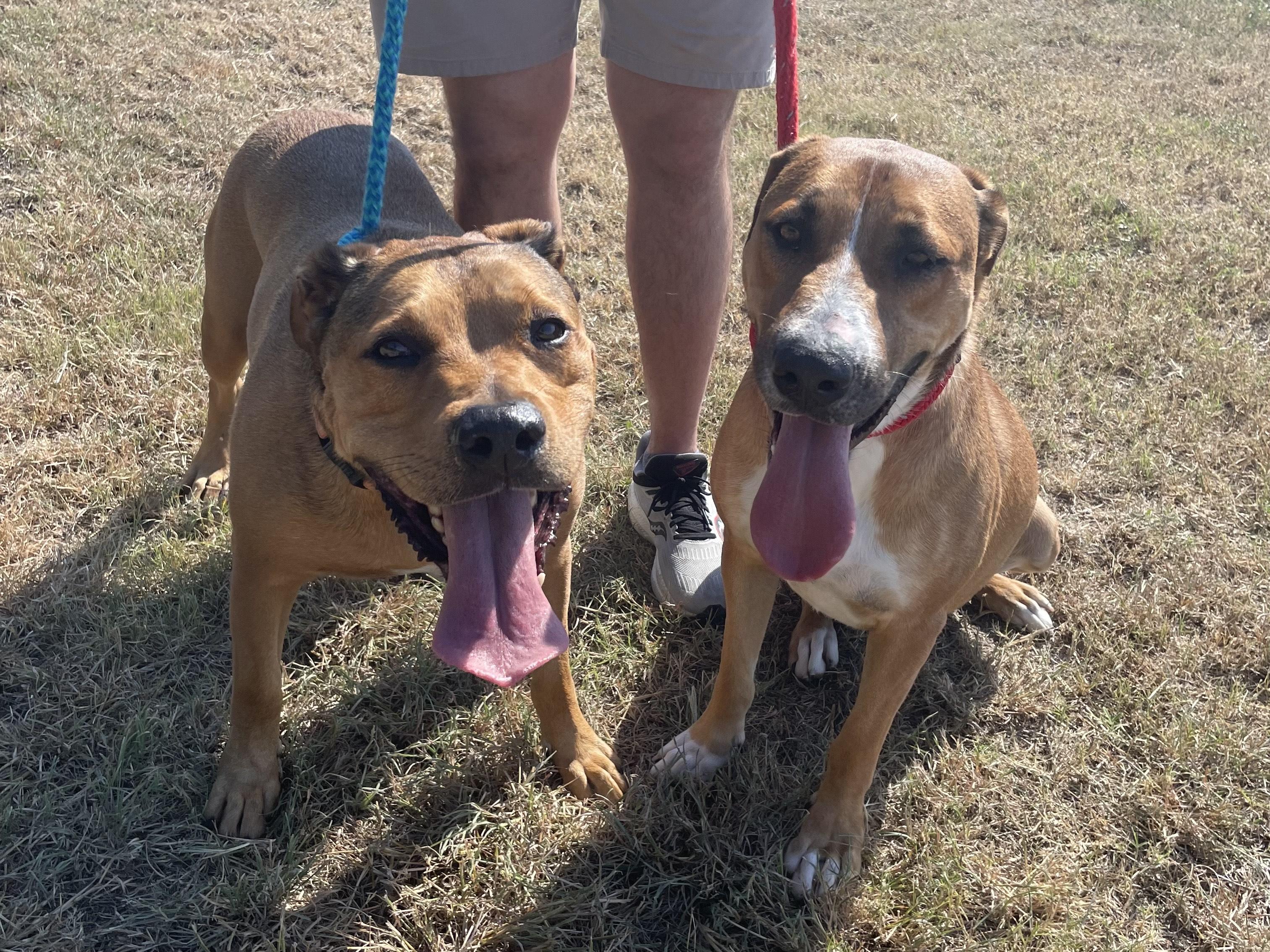 Lester & Rosey (Best Buds)