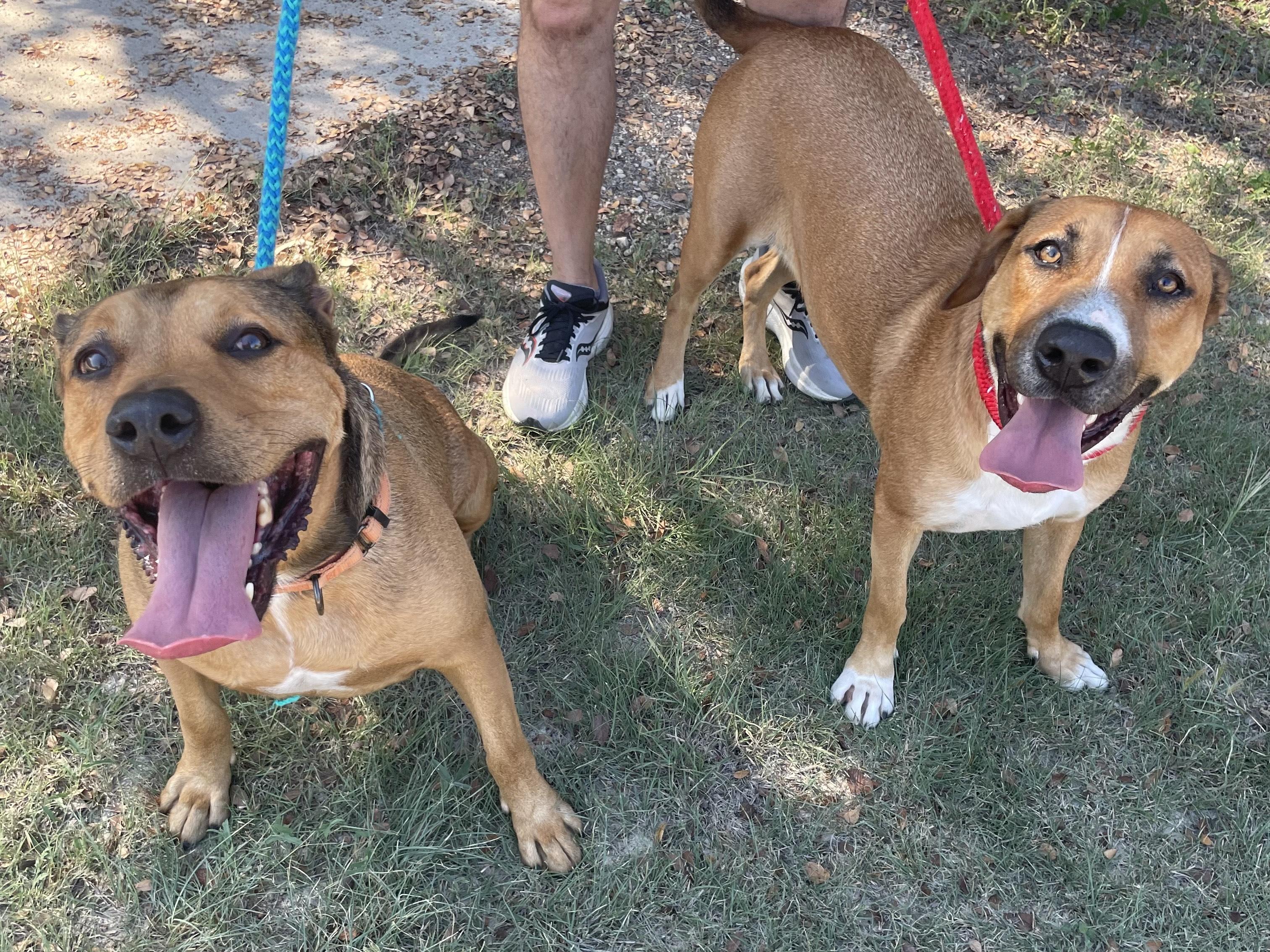 Lester & Rosey (Best Buds)