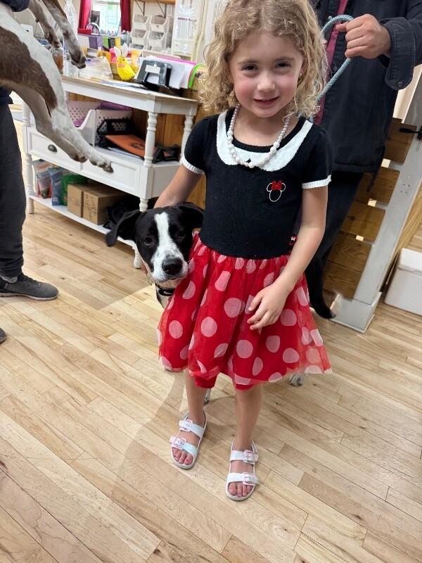 Domino Falls For You — thumbnail 5