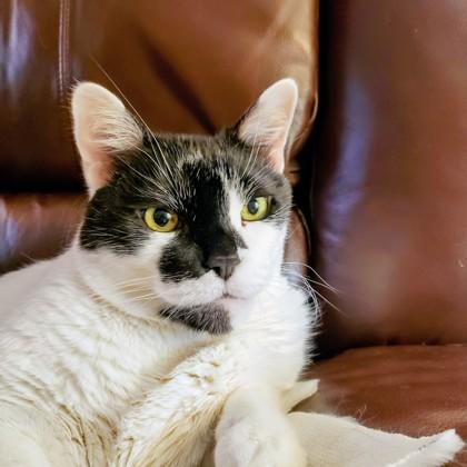 Pita — thumbnail 2