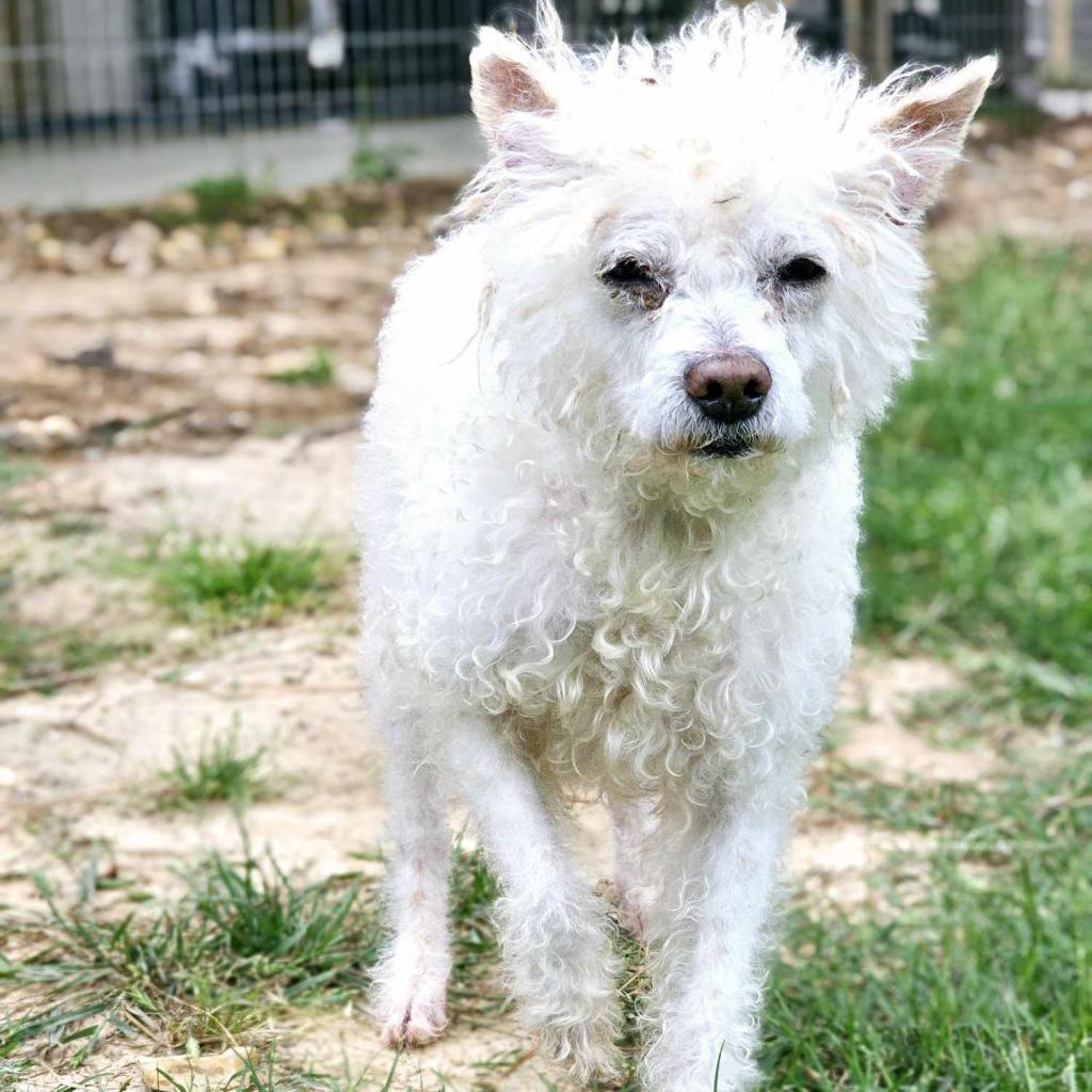 Waller — thumbnail 2