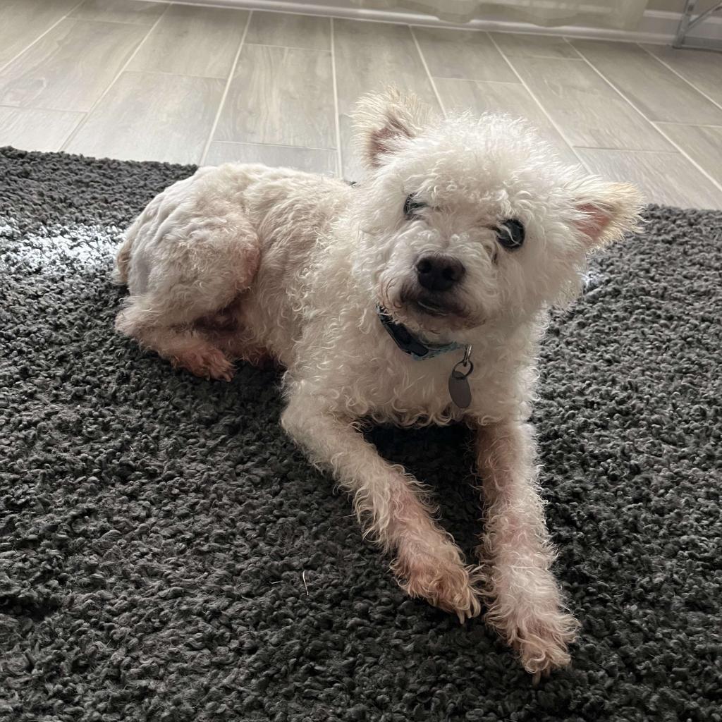 Waller — thumbnail 5