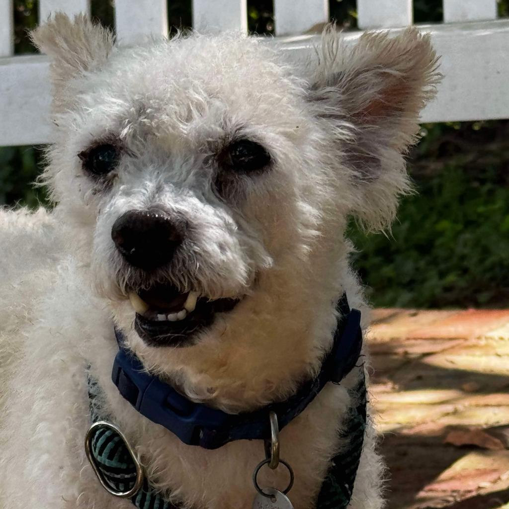 Waller — thumbnail 6