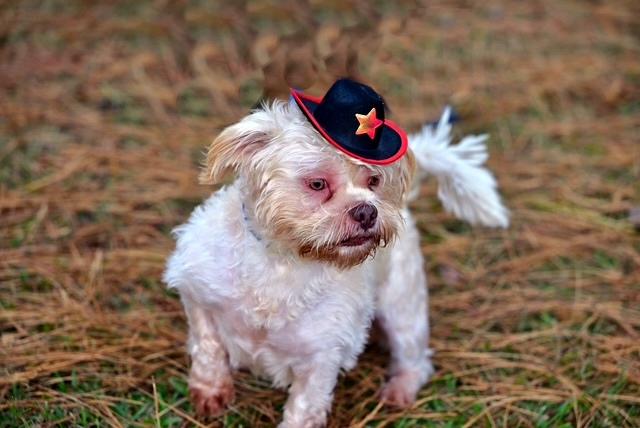 OLIVER - CUTENESS ALERT!