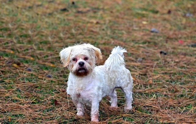 OLIVER - CUTENESS ALERT!