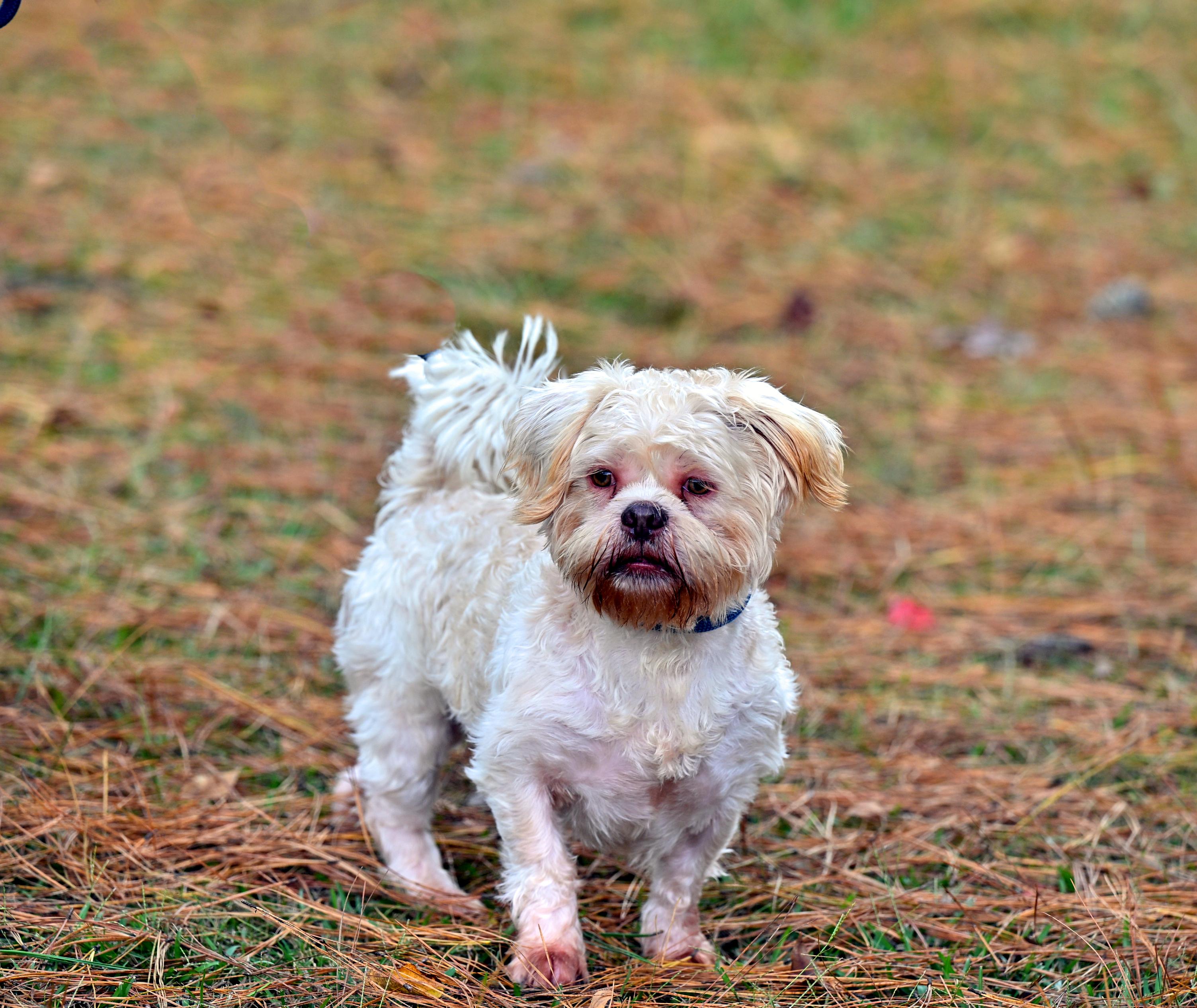OLIVER - CUTENESS ALERT!