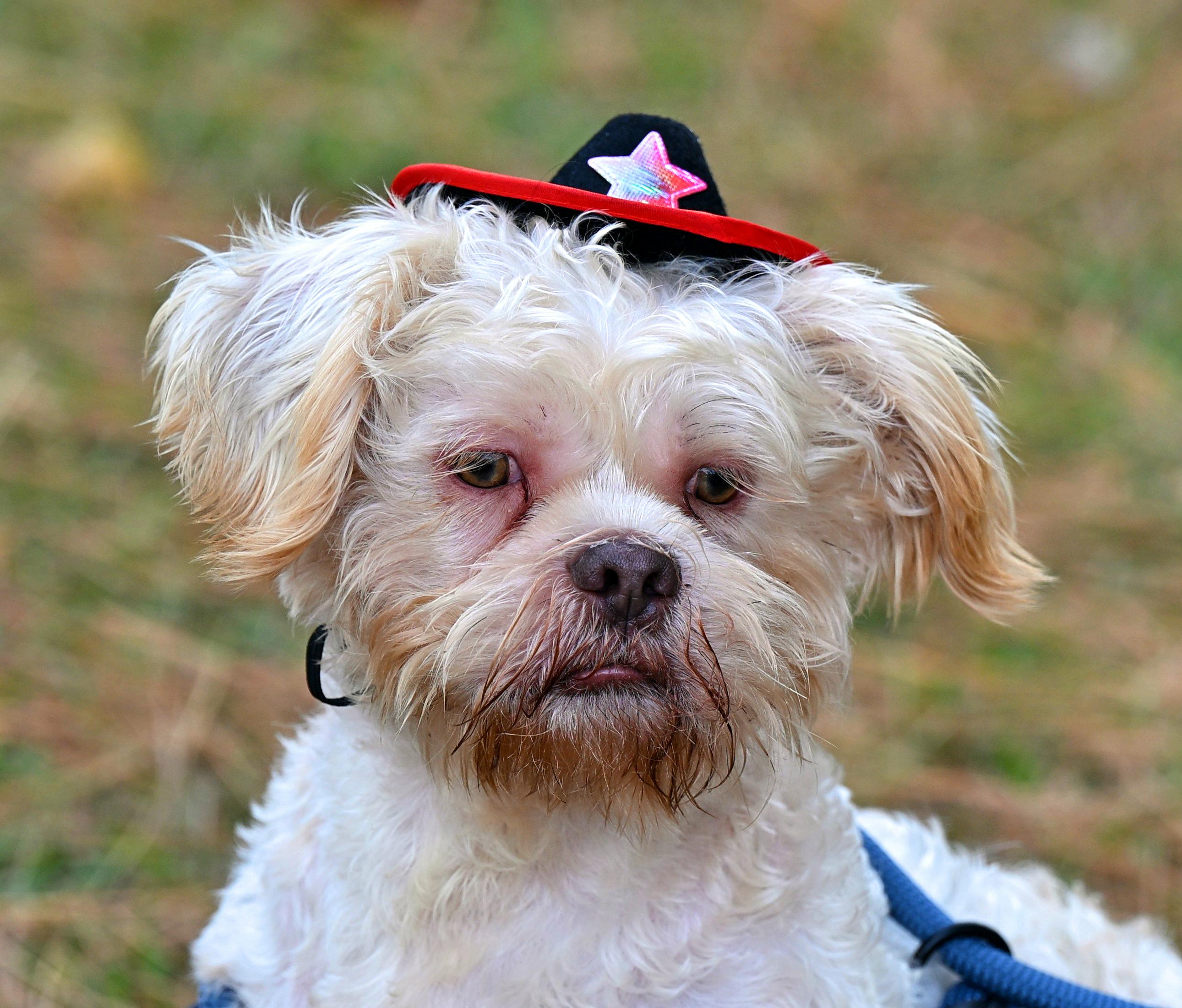 OLIVER - CUTENESS ALERT!